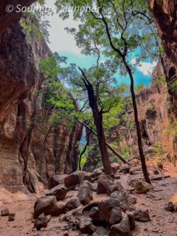 Reechgarh Pachmarhi